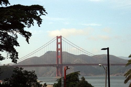 View of the Golden Gate Bridge from the Presidio