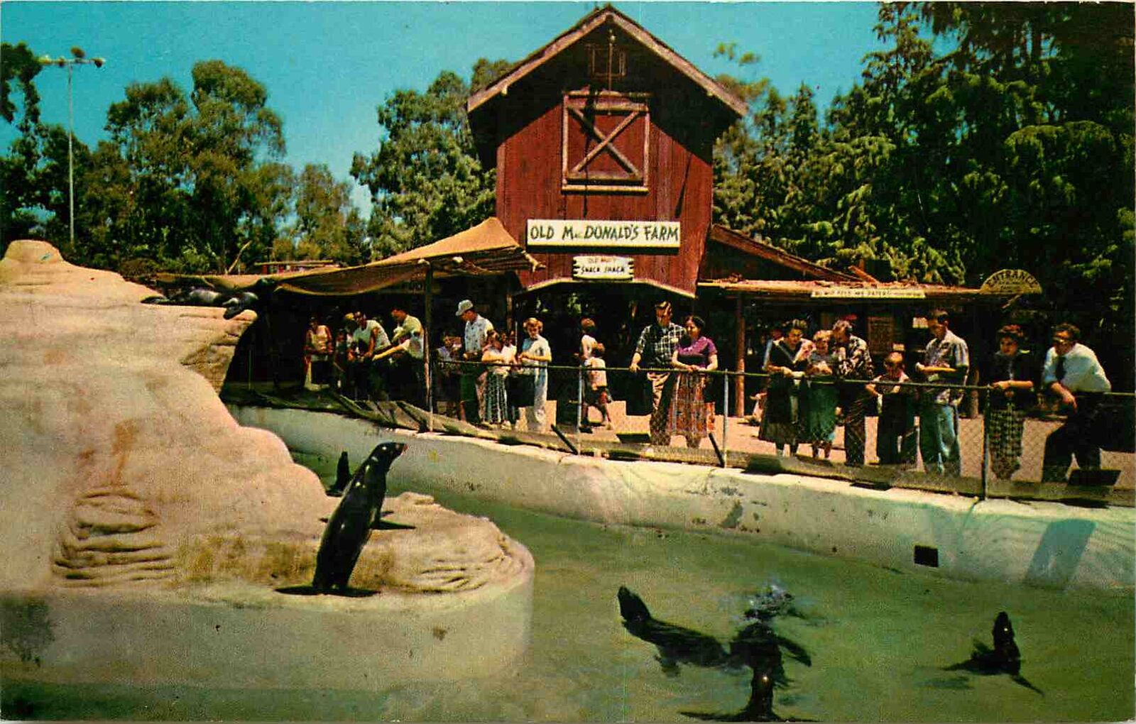 Postcard Seal Pool & Old Mac Donald\'s Farm, Knott\'s Berry Farm, Buena Vista, CA