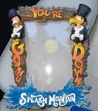 Splash Mountain Picture Frame YOUR GOING DOWN vultures Walt Disney World picture