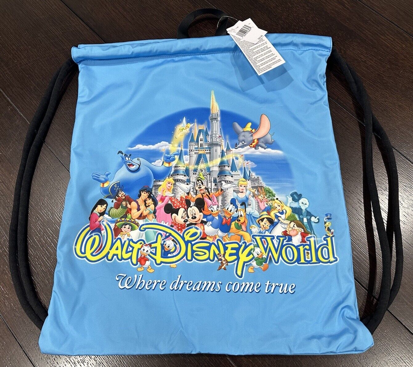 Walt Disney World Brer Rabbit Splash Mountain 2000s Logo Clinch Draw String Bag