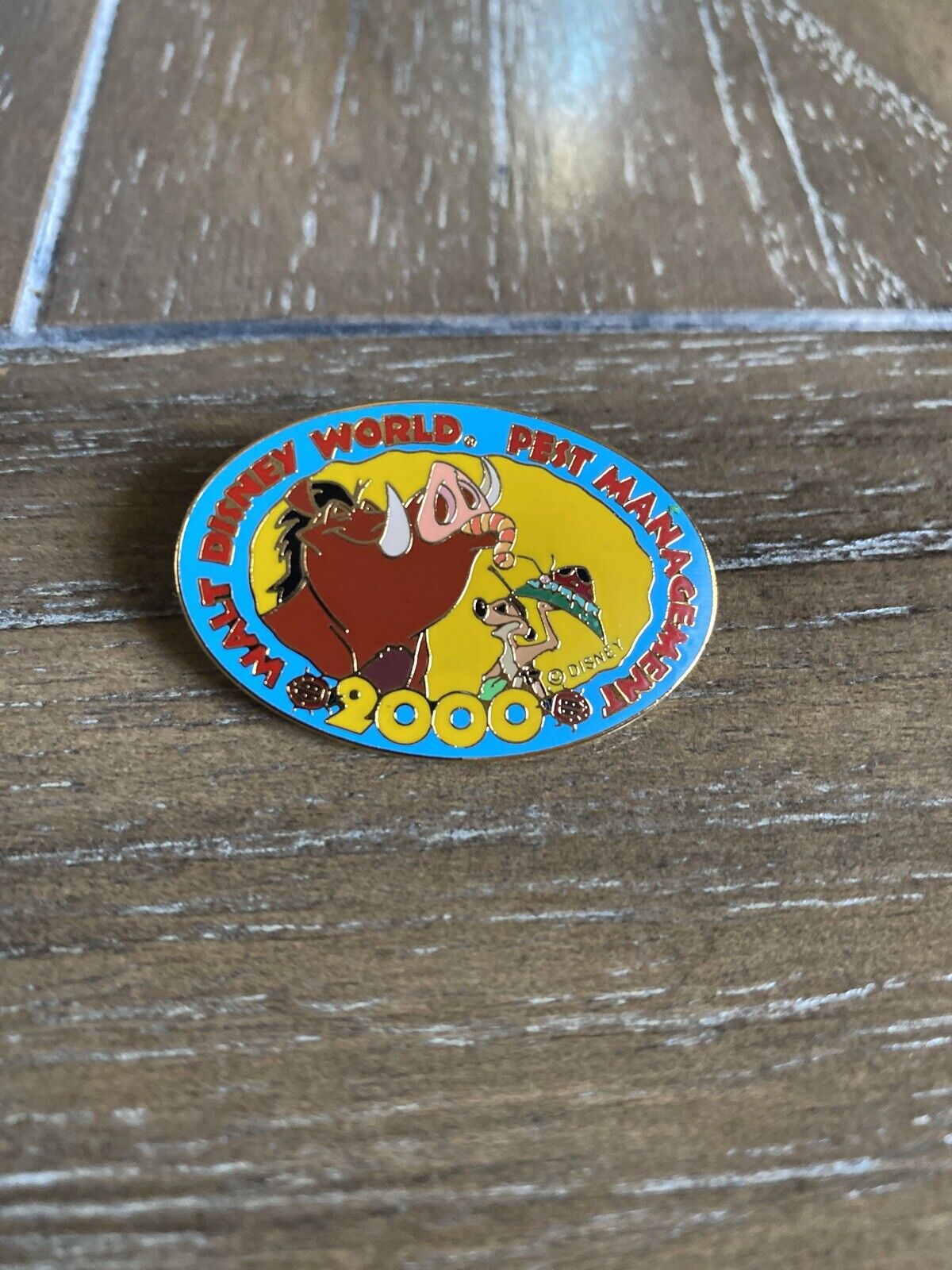 2000 WALT DISNEY WORLD LION KING PUMBAA AND TIMON WITH BUGS PEST MANAGEMENT PIN