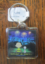 New Vintage CEDAR POINT 'WHAT A DAY' KEYCHAIN Amusement park roller coaster picture