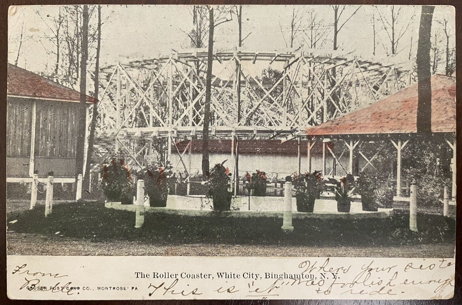 Roller Coaster, White City, Binghamton NY 1906 Postcard Hand Colored / Tinted