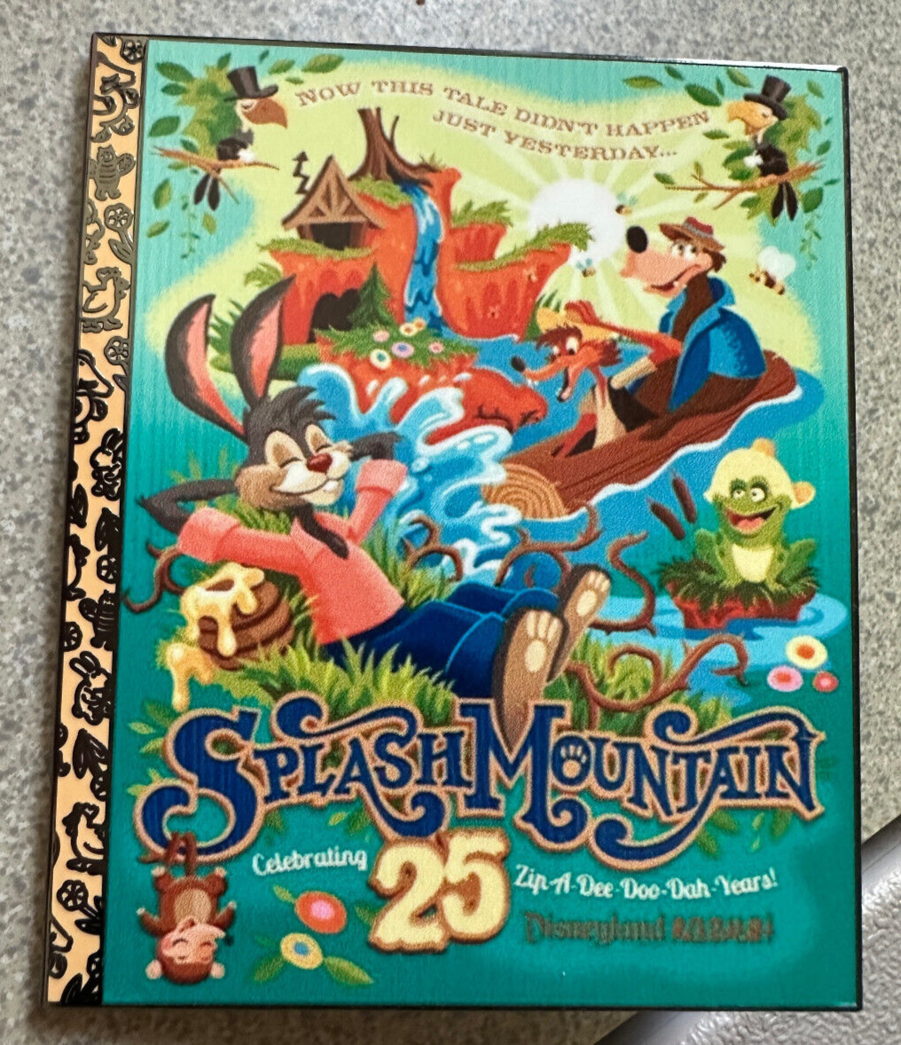 PIN SPLASH MOUNTAIN 3\