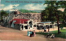 Idora Amusement Park People Rollercoaster Youngstown Ohio Divided Postcard c1910 picture