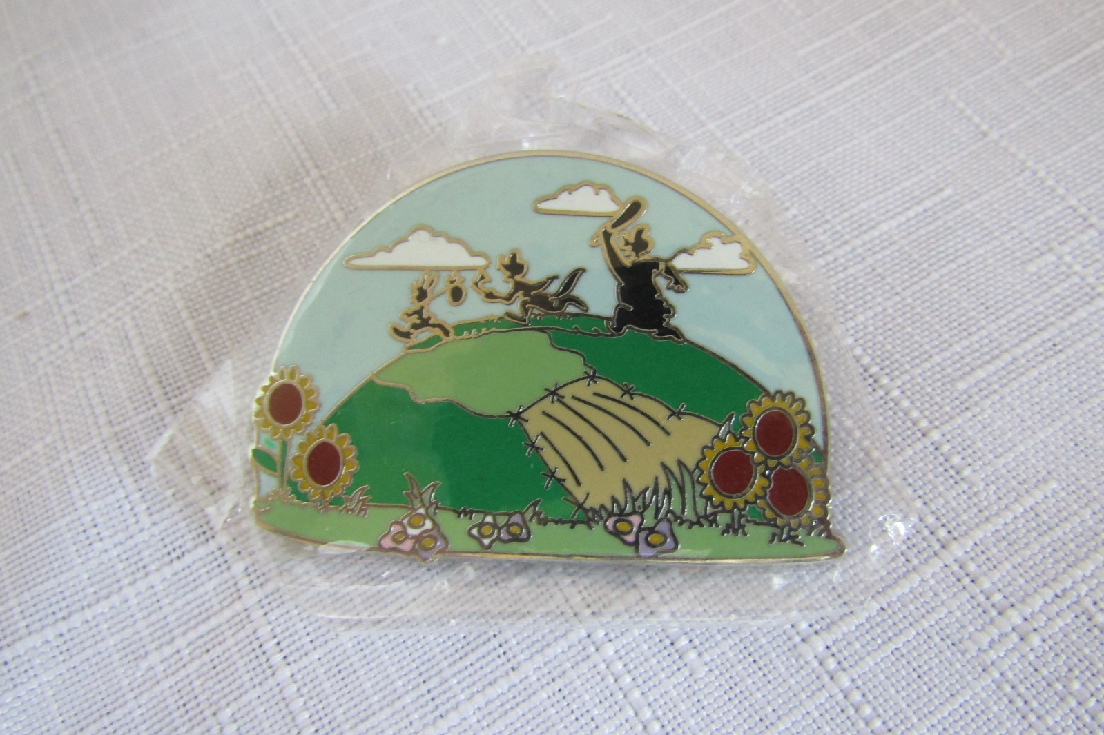 Disney Splash Mountain Silhouette Song  of the South Reveal Conceal Mystery Pin