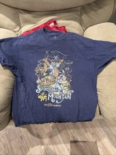 Vintage Authentic Splash Mountain T-Shirt XL Disney World/Disney Parks picture