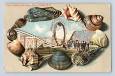1909. CONEY ISLAND, NY. LOOPING THE LOOP, ROLLER COASTER. POSTCARD RR19 picture