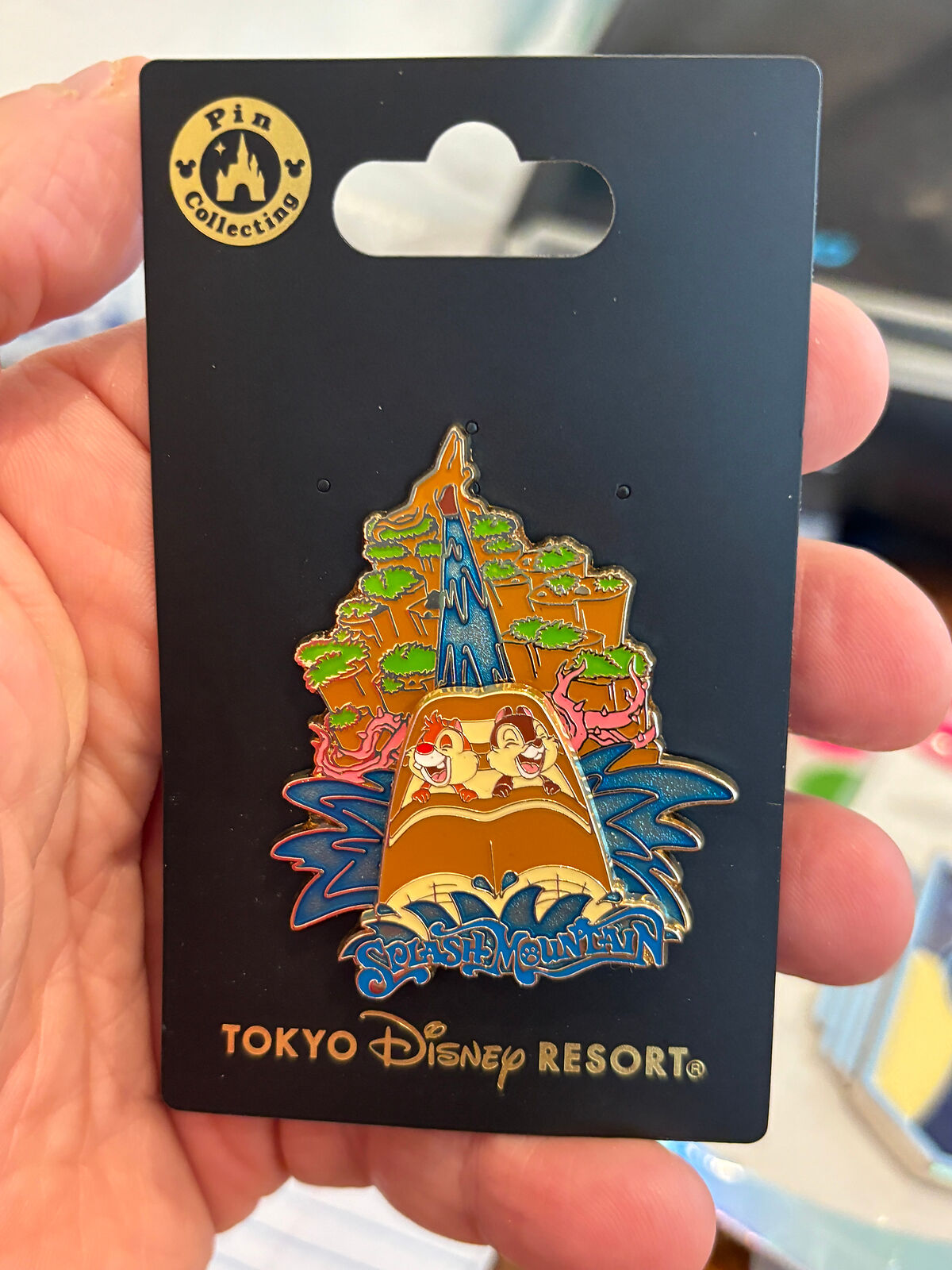 Tokyo Disney Resort - Splash Mountain, Chip & Dale