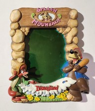 Disneyland 3D Splash Mountain Brer Rabbit Fox Bear Picture Frame 5X7 picture