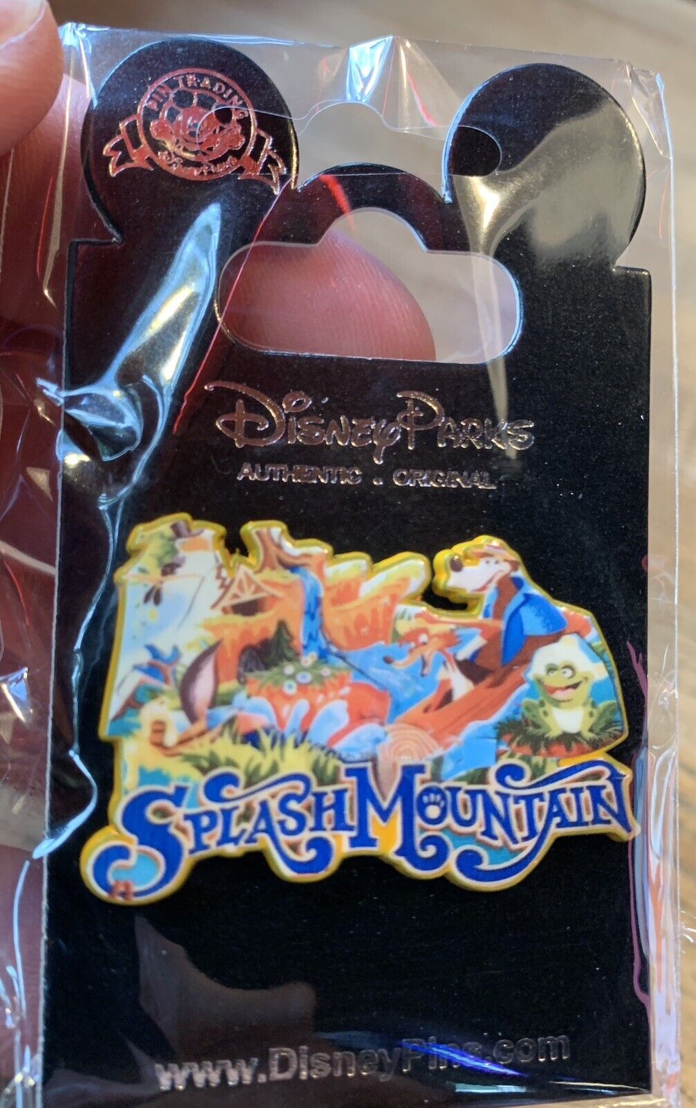 Splash mountain Disney Parks Trading Pin 