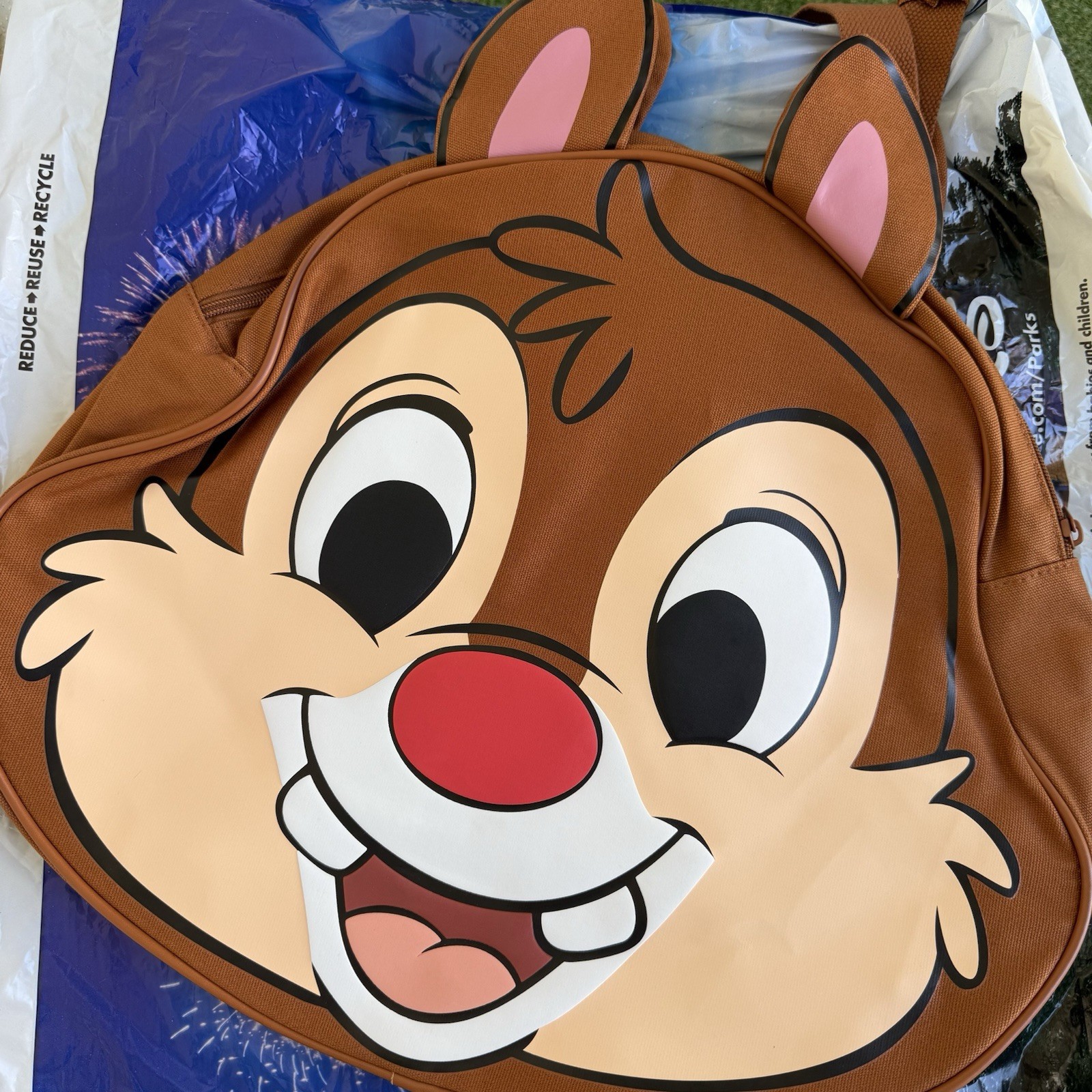 Disney Parks 2026 Walt Disney World Chip & Dale Big Face Tote Bag New