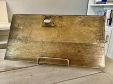 Kings Island | The Beast | Trim Brake segment With Certificate Of Authenticity picture