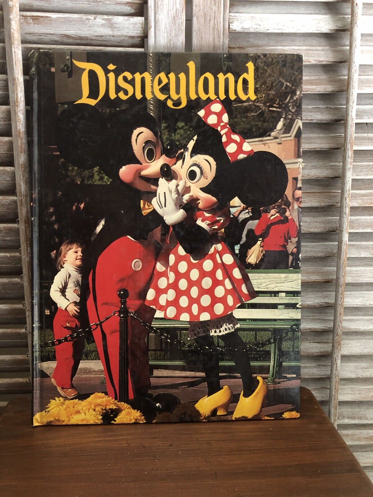 Vintage 1970s Disneyland Hardcover V. Childs T. Smart D. Gibbon Mayflower Book