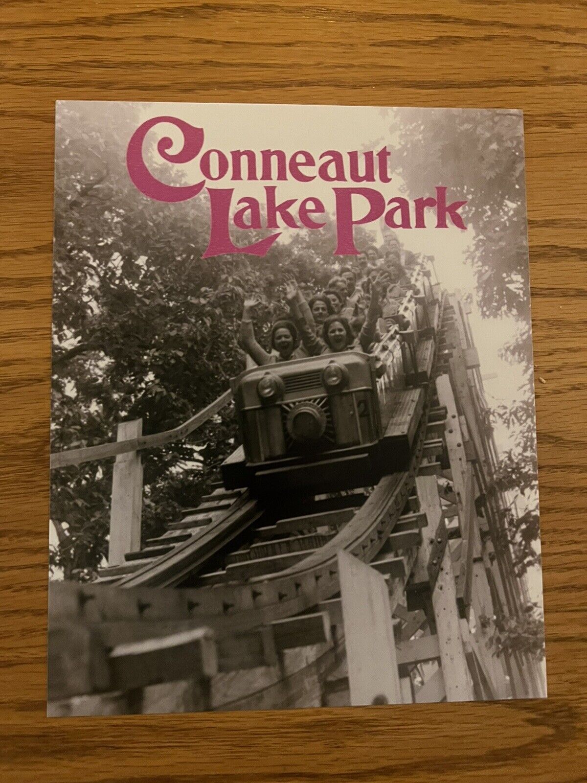 conneaut lake Park amusement park Blue Streak Roller Coaster Print 1960s 8x10”