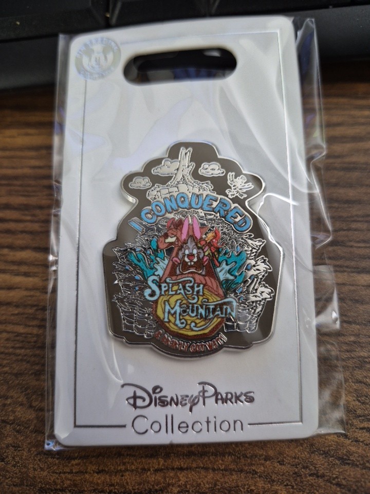 Splash Mountain Disney Parks Trading Pin “I conquered Splash Mountain” Fantasy